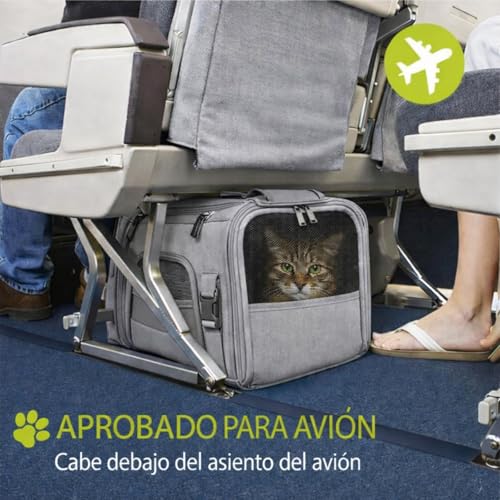 Transportin Para Gatos Y Perros TransportÃn