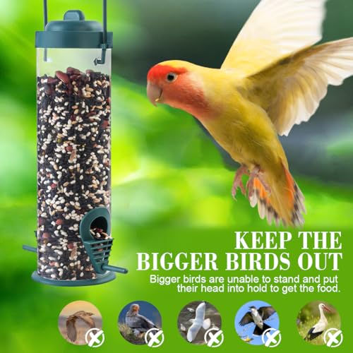 Comedero Para Aves OFFCUP