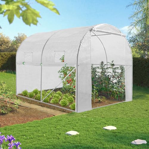 Invernadero exterior IDMarket 2 x 3 m 6 m