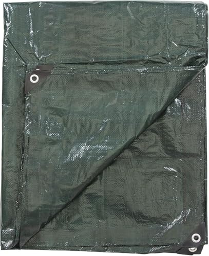 Lona Protectora De Suelo Lona 2x3m