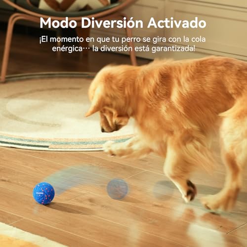Cheerble Wicked Ball Air - Pelota Interactiva Perro, Automática Juegos para Perros,