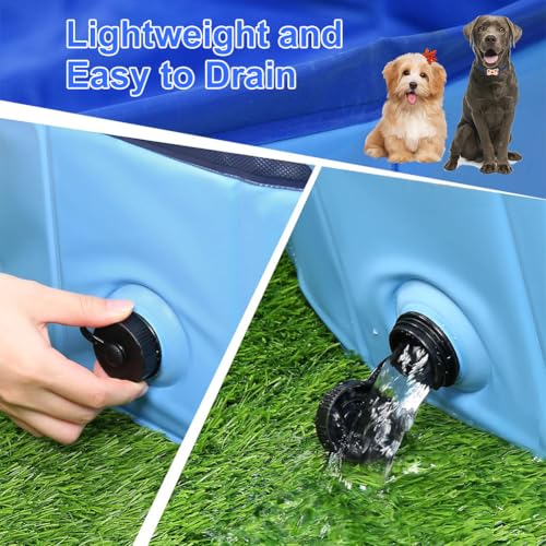 Piscina para perros 50 x 10 cm