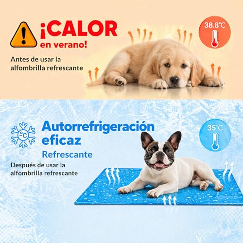 Alfombrilla Refrigerante Para Mascotas BESCH 50x40cm