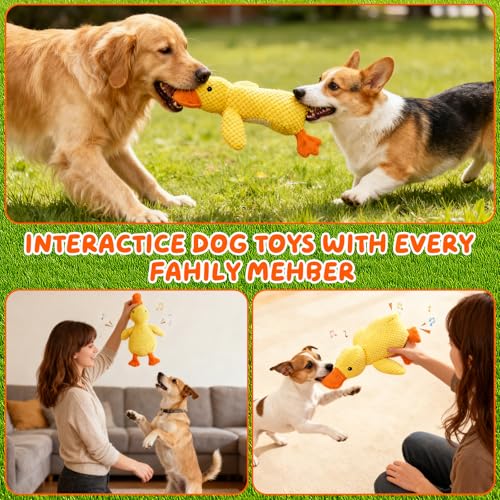 Juguete para perros Perro 25cm