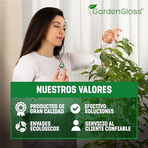 Celosias Para Trepadoras GardenGloss