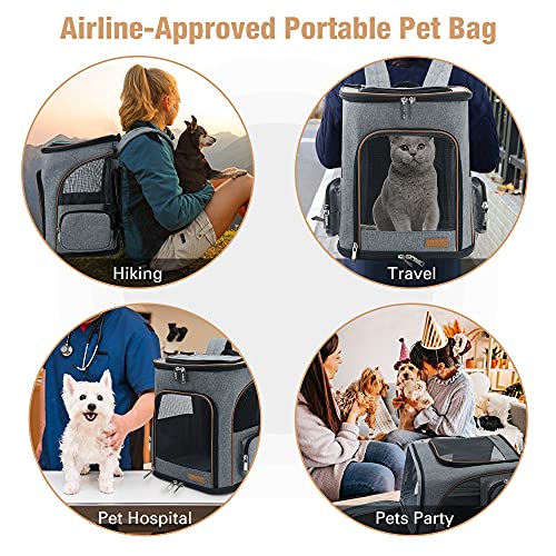 Transportin Para Gatos Y Perros Lekesky