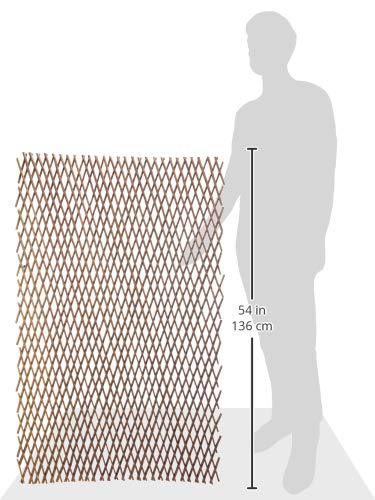 Celosias Para Trepadoras Nortene 1X2 M