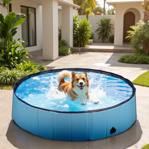 Piscina para perros Fudajo 100 x 30 cm