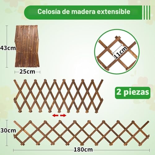 Celosias Para Trepadoras LATERN 180 CM 30 CM