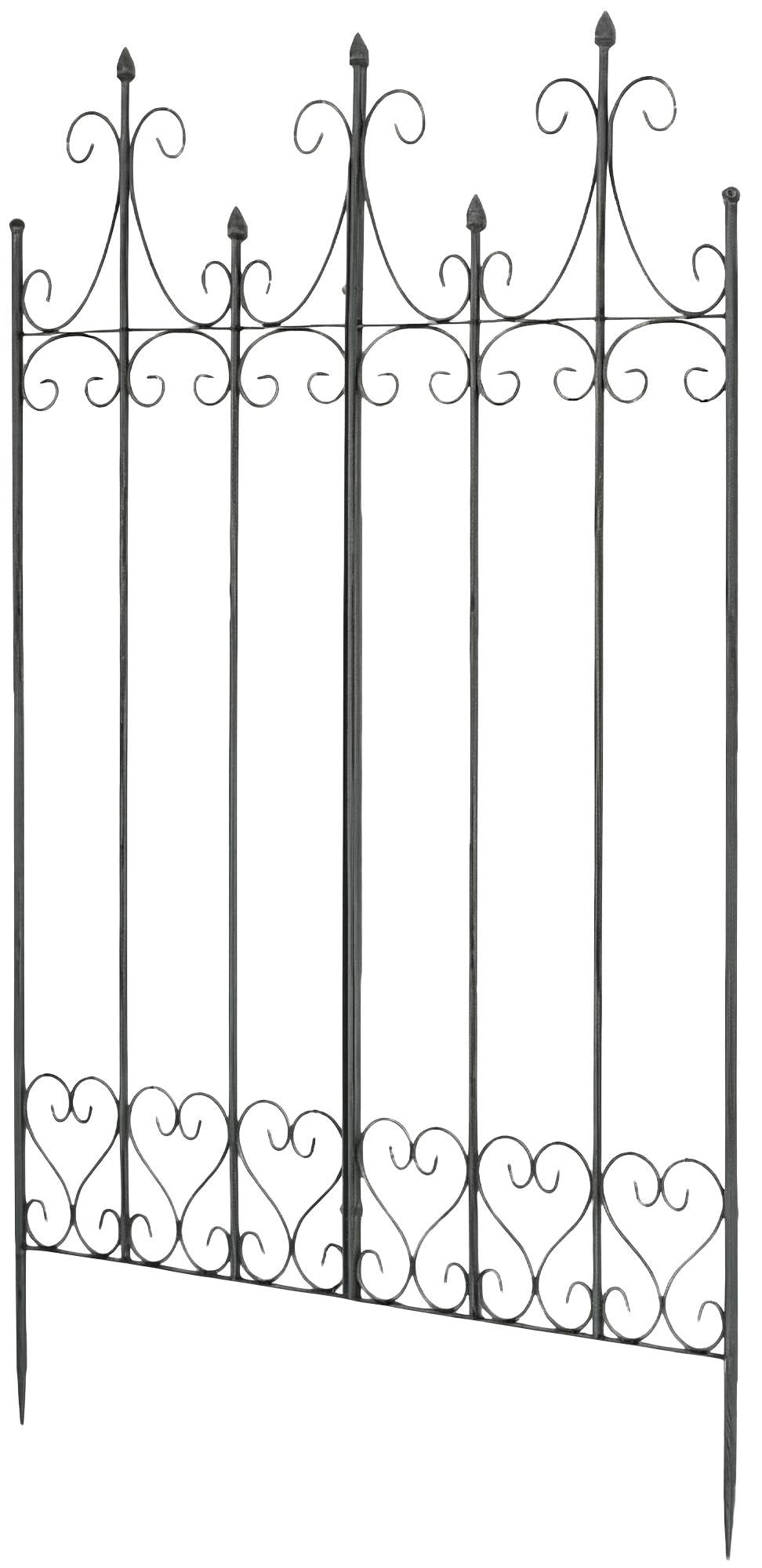 Celosias Para Trepadoras CLP 130cm
