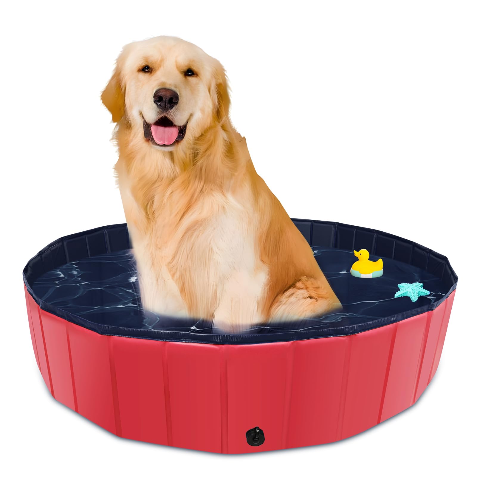 Piscina para perros 80 x 20 cm