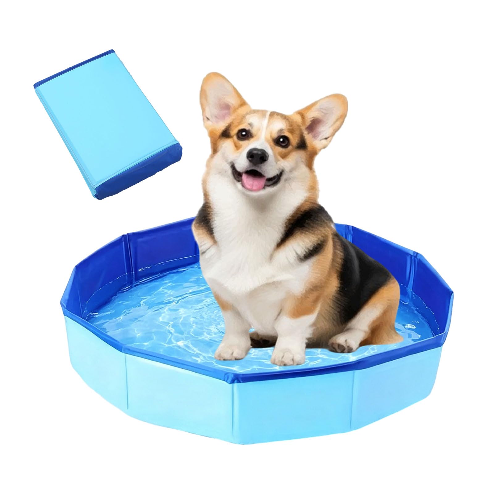 Piscina para perros 50 x 10 cm