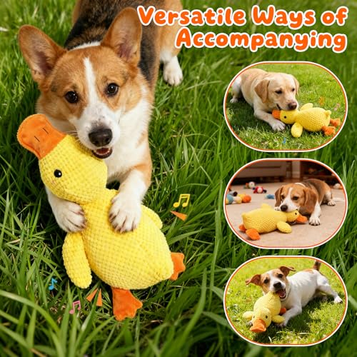 Juguete para perros Perro 25cm