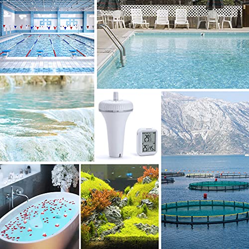 Termómetro de piscina Inkbird