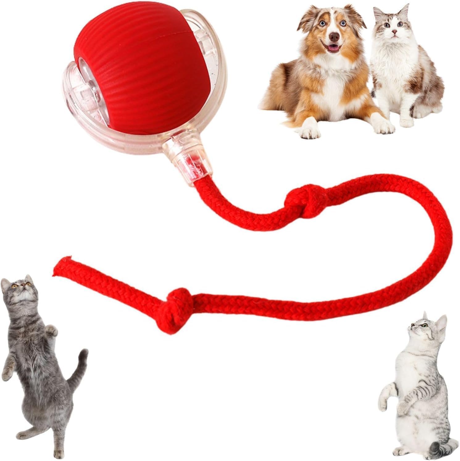 pelota interactiva para perros, pelota rodante activa para perros, juguetes para gatos,