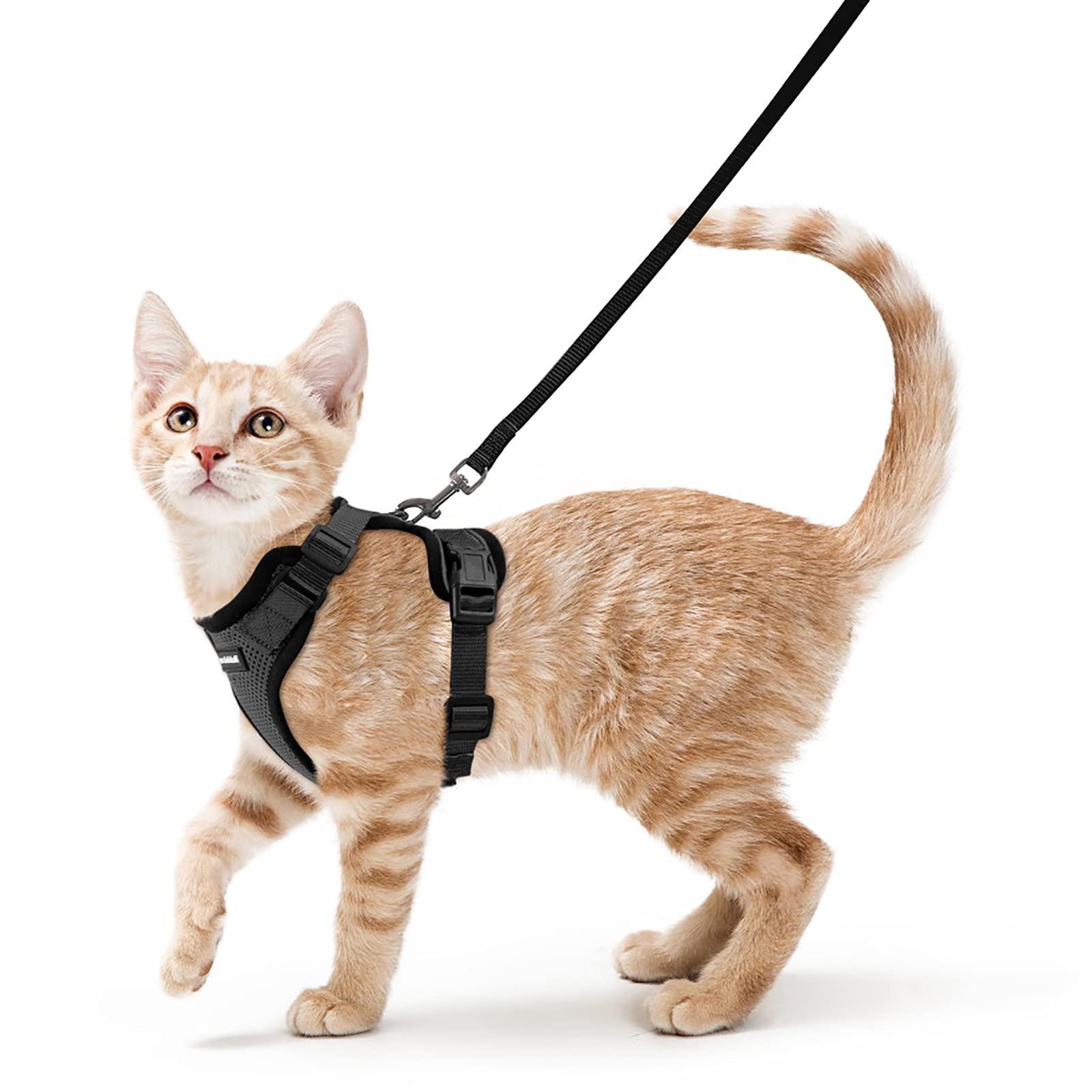 Transportin Para Gatos Y Perros Lekesky