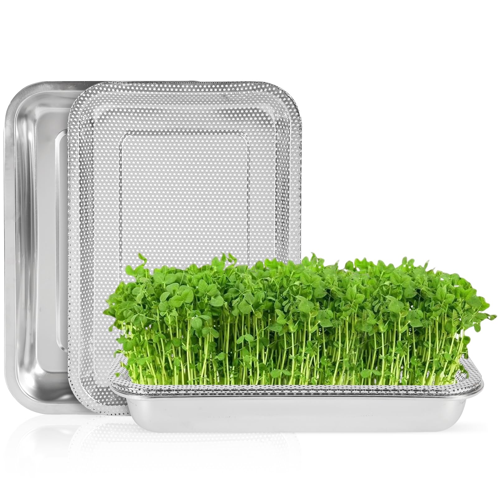 Kit de cultivo hidropónico 32 x 22 cm