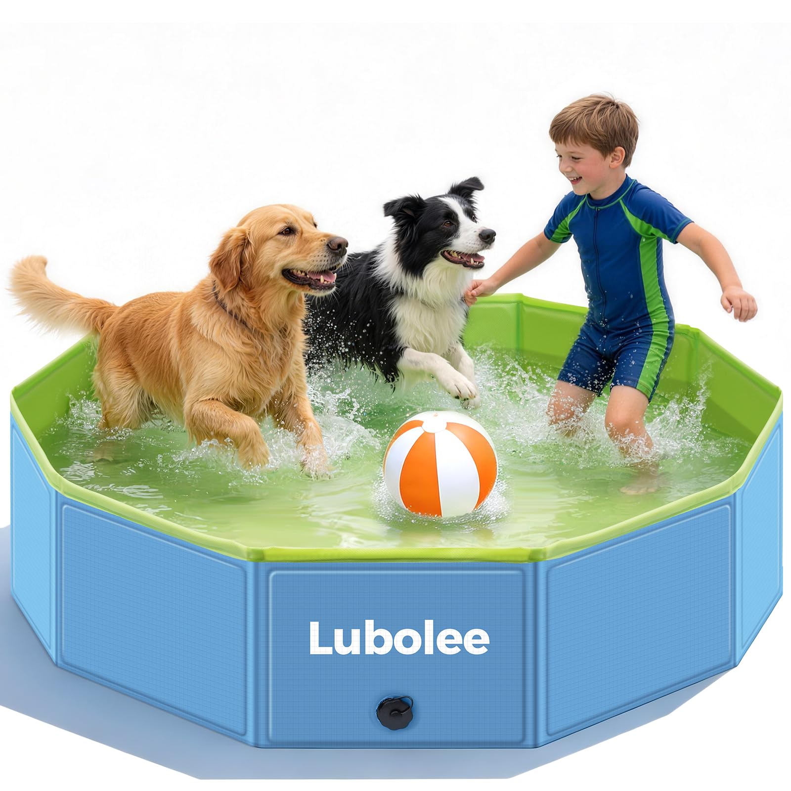 Piscina para perros 120x30cm