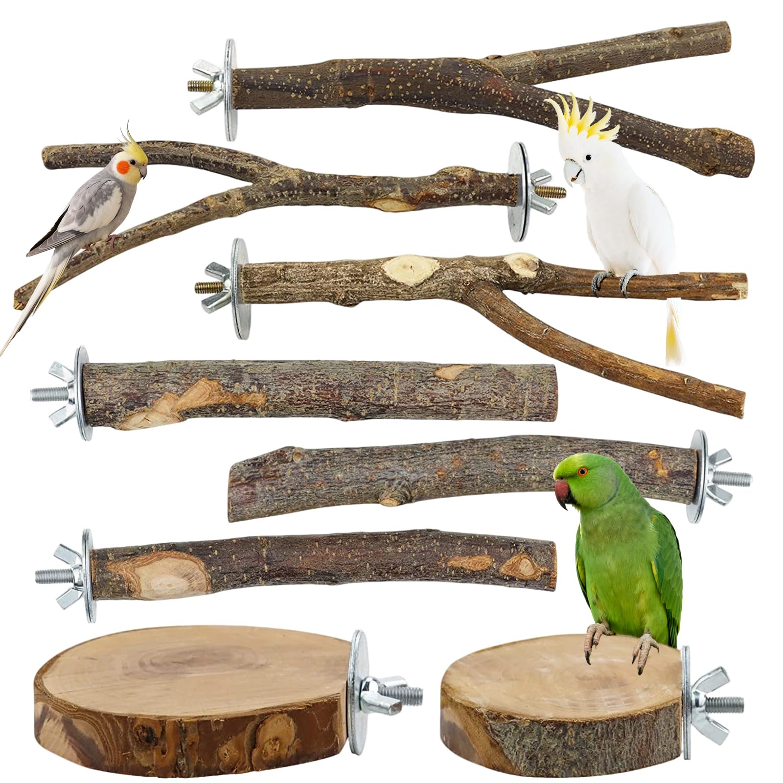 Comedero automático para pájaros, comedero para Jaula de pájaros con Percha para