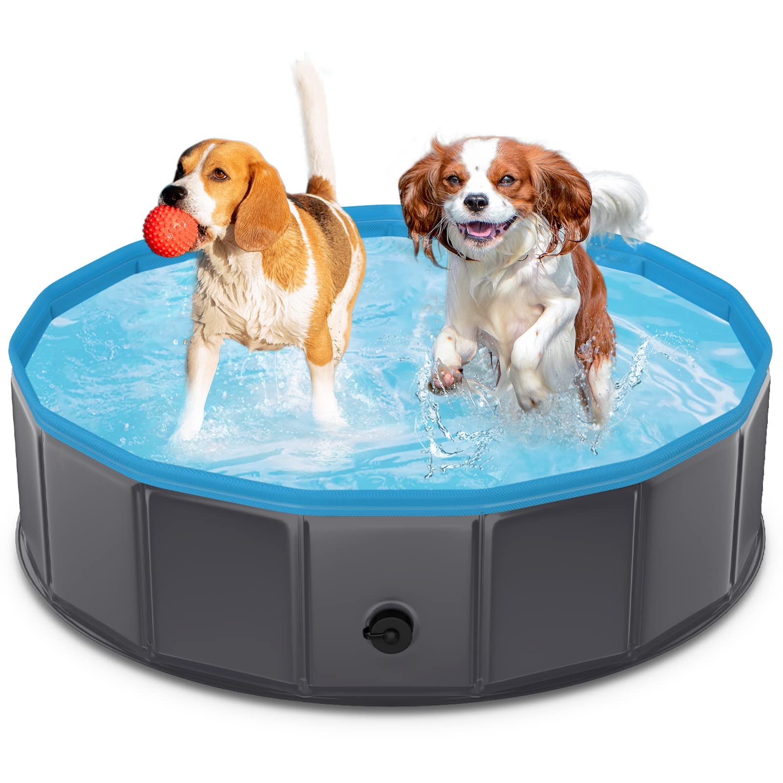 Piscina para perros 80 x 20 cm