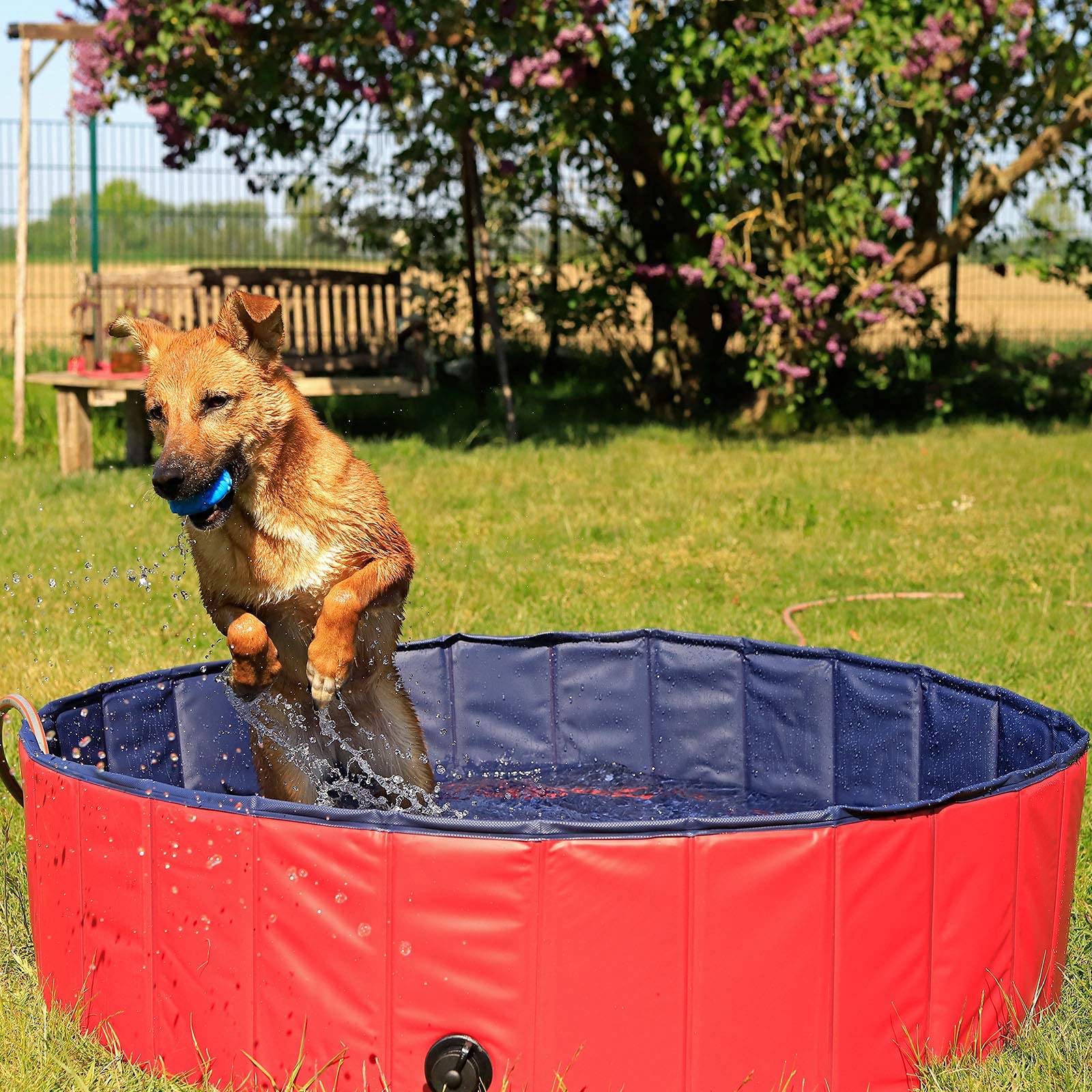 Piscina para perros 80 x 20 cm