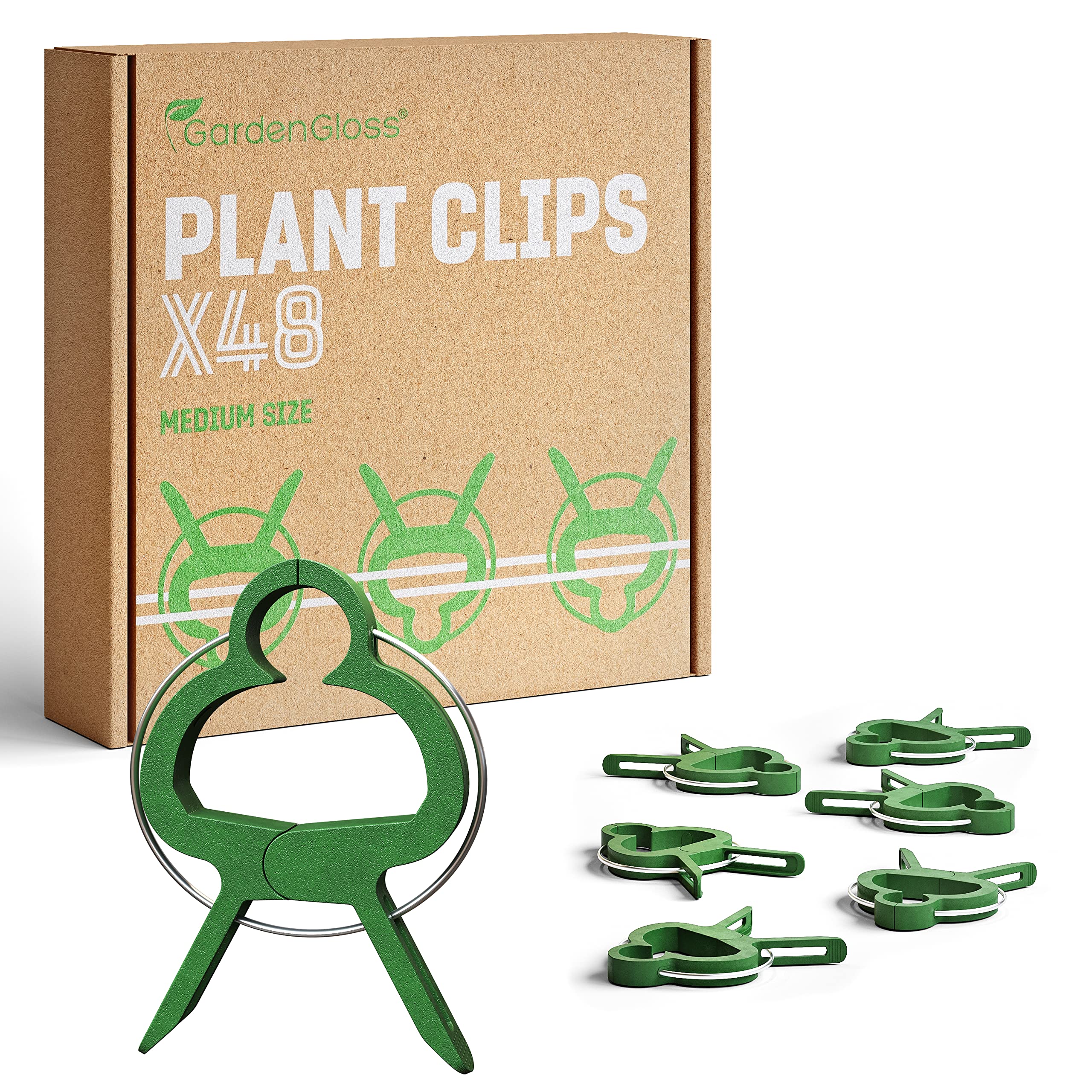 Celosias Para Trepadoras GardenGloss